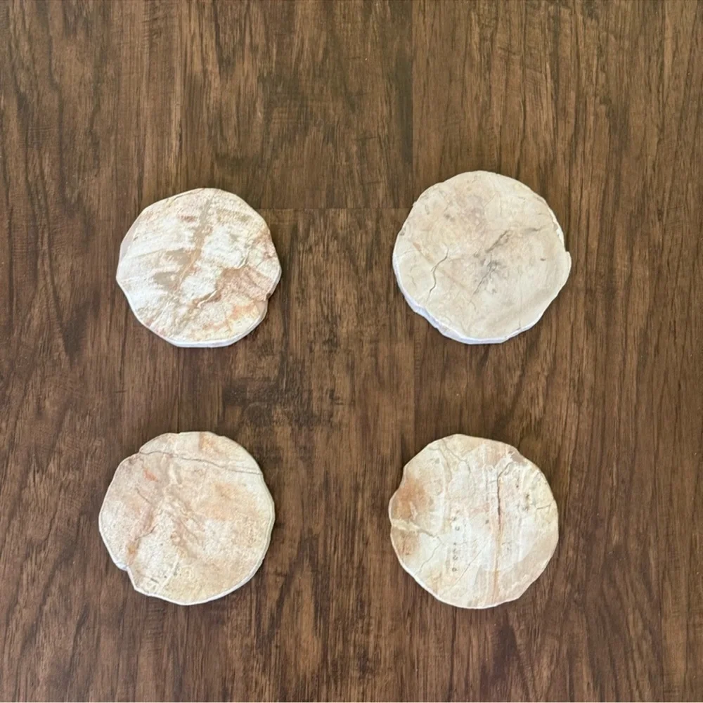 West Elm Petrified coasters set of 4